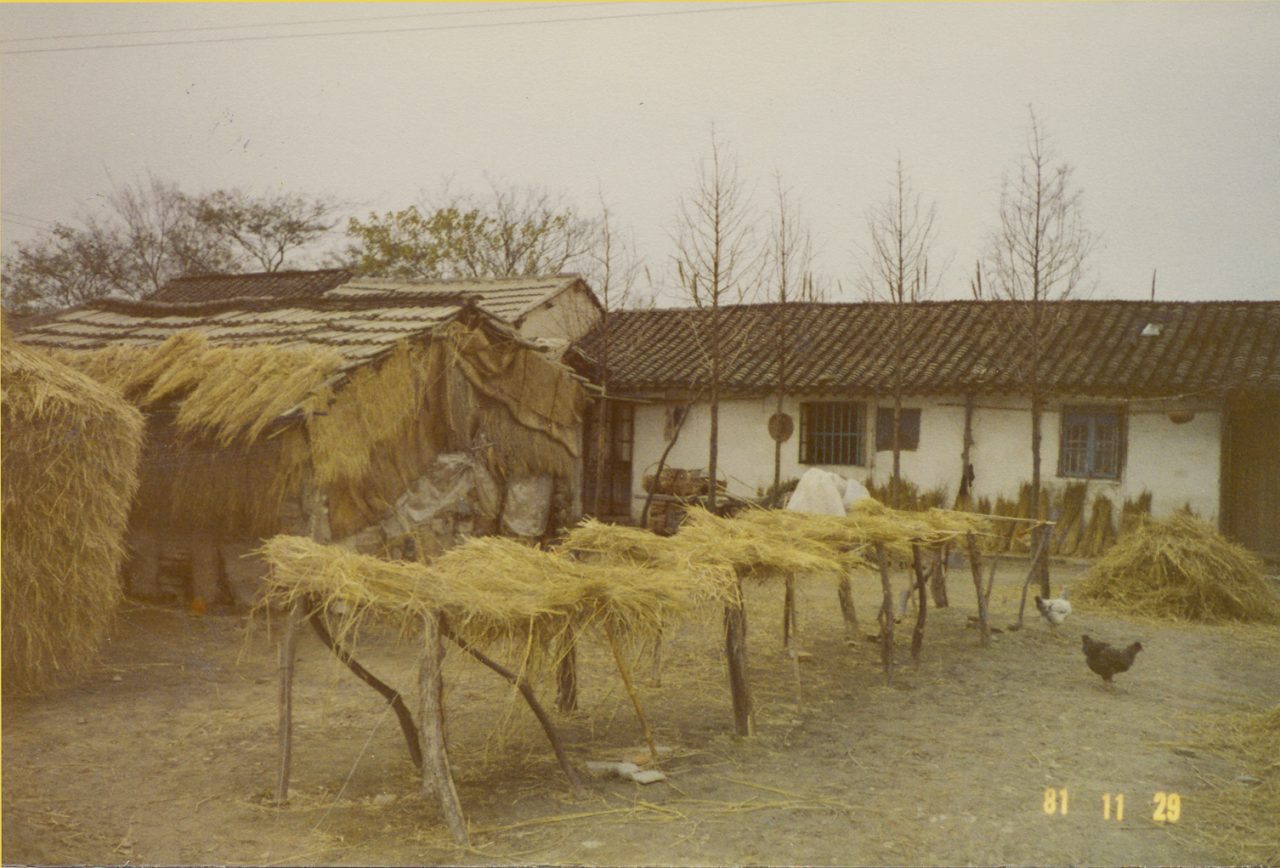 A photo of Dr. James S. C. Chao's village in Jiading County, Shanghai in 1981.